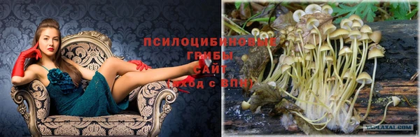 гашиш Володарск