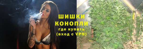 ГАЛЛЮЦИНОГЕННЫЕ ГРИБЫ Волосово